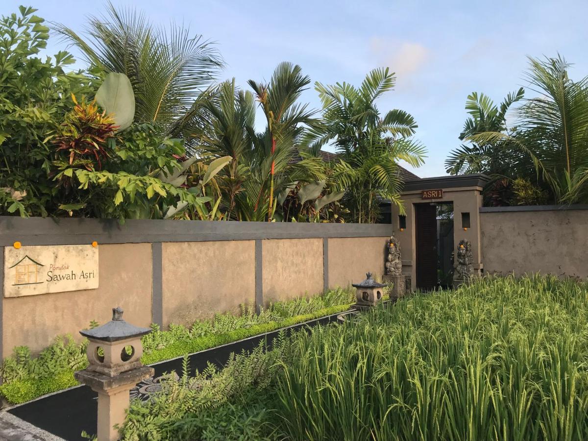 Pondok Sawah Asri 우붓 외부 사진
